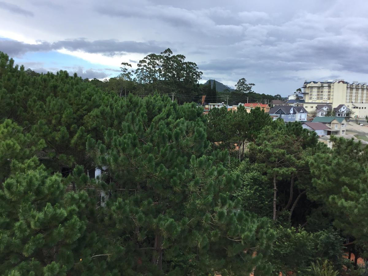 Biet Thu Du Lich Atiso Daire Da Lat Dış mekan fotoğraf